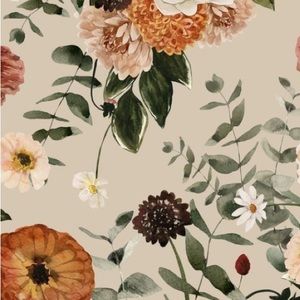 Meet your Posher, Anaya